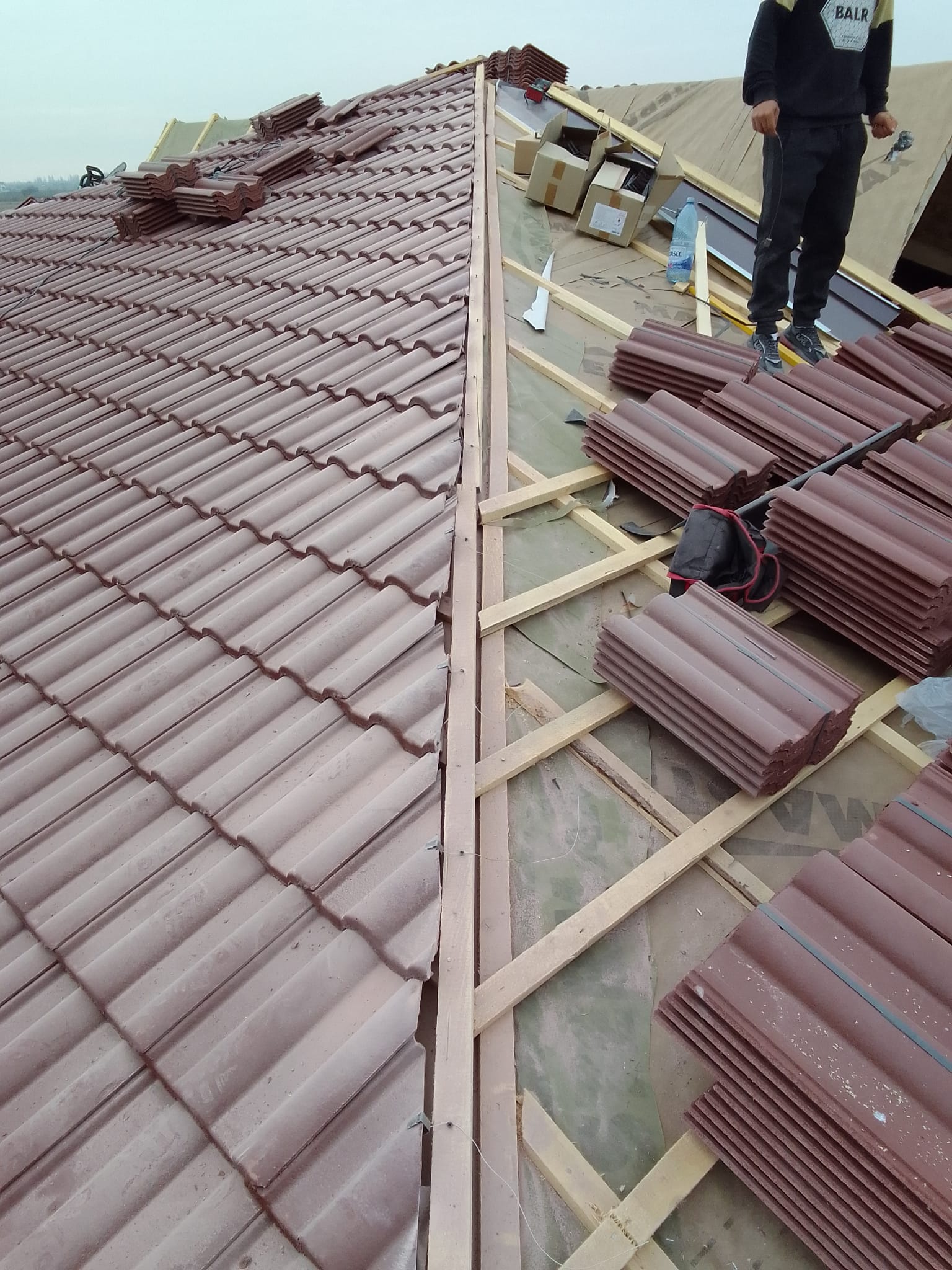 Lucrare Portofoliu 14