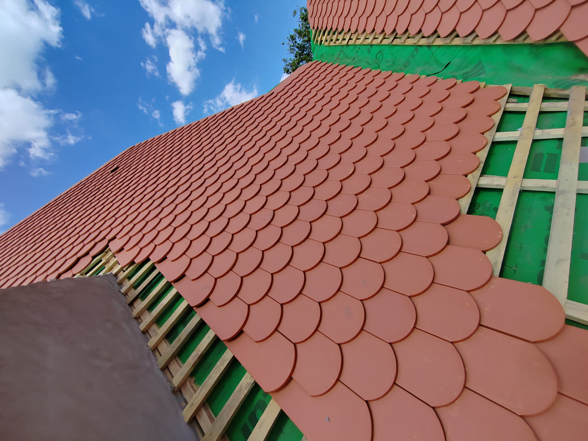 Lucrare Portofoliu 20